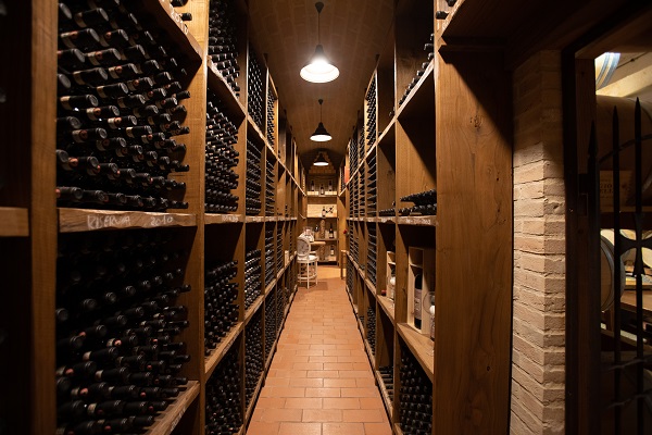 cellar with shelves of wine bottles