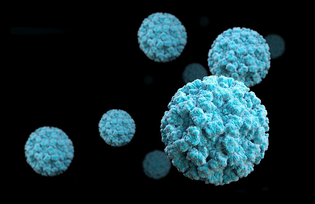 Protect Your Customers and Your Restaurant - Norovirus 101