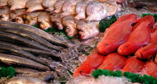 fresh fish display
