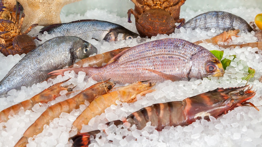 Refrigerated Fish Keeper Buying Guide