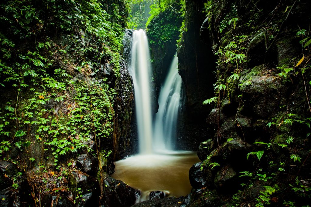 Waterfall in a jungle