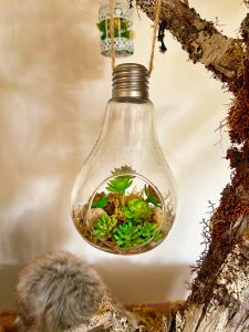 Plant in a light bulb hanging from a tree