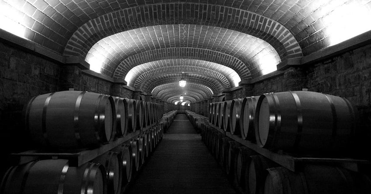 underground cellar with rows of wooden casks