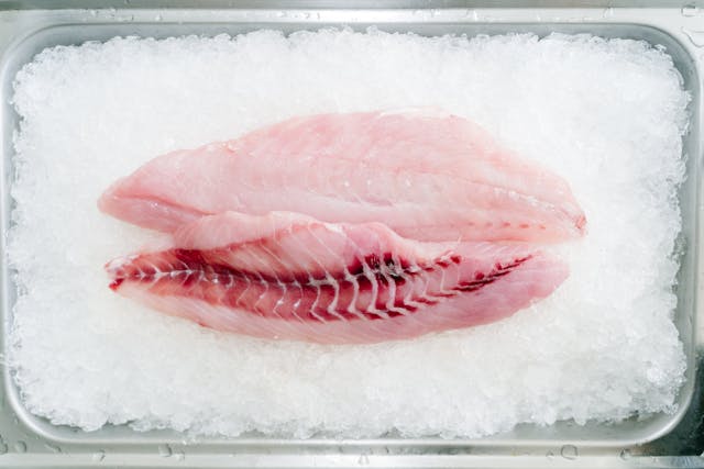 fish fillets on crushed ice